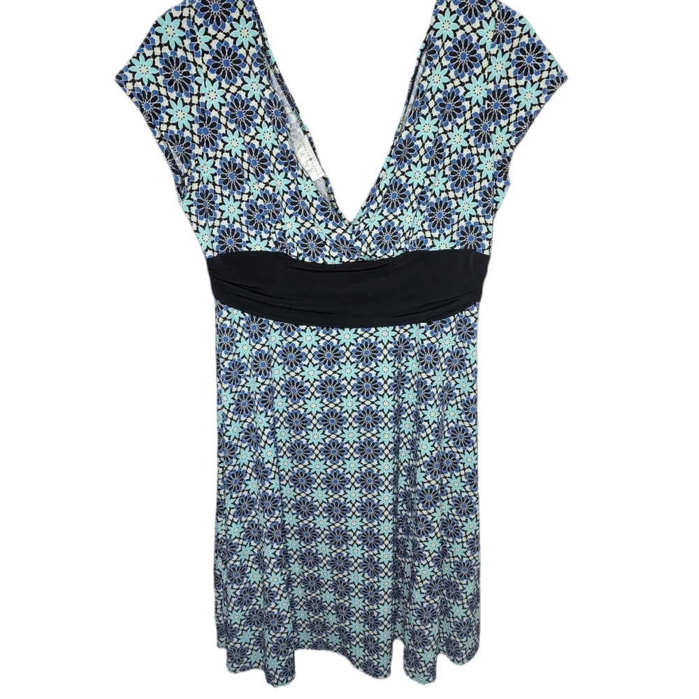 Womens 14P dress